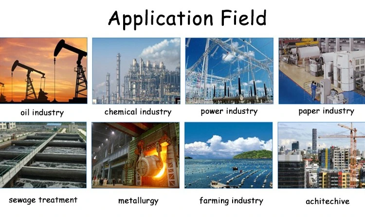Cationic Polyacrylamide Powder Highly Effective Flocculant for Water Treatment and Industrial Processes (2) Cationic Polyacrylamide Powder Highly Effective Flocculant for Water Treatment and Industrial Processes (2)