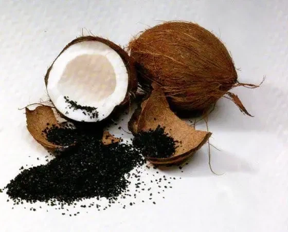 Nhà máy cung cấp than hoạt tính gáo dừa dạng hạt than gáo dừa cấp thực phẩm than hoạt tính