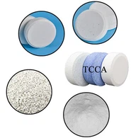 Hóa chất xử lý nước 200g Clo TCCA dạng hạt