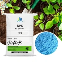 100% NPK hòa tan trong nước 13-40-13