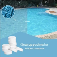 Hạt Clo khử trùng hồ bơi 70 Calcium Hypochlorite 7778-54-3