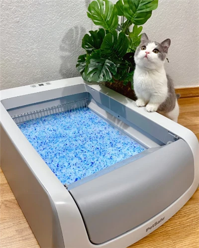 Đậu hũ Cat Litter Mẫu miễn phí Đồ làm sạch thú cưng Bán buôn Silica Gel Cat Litter